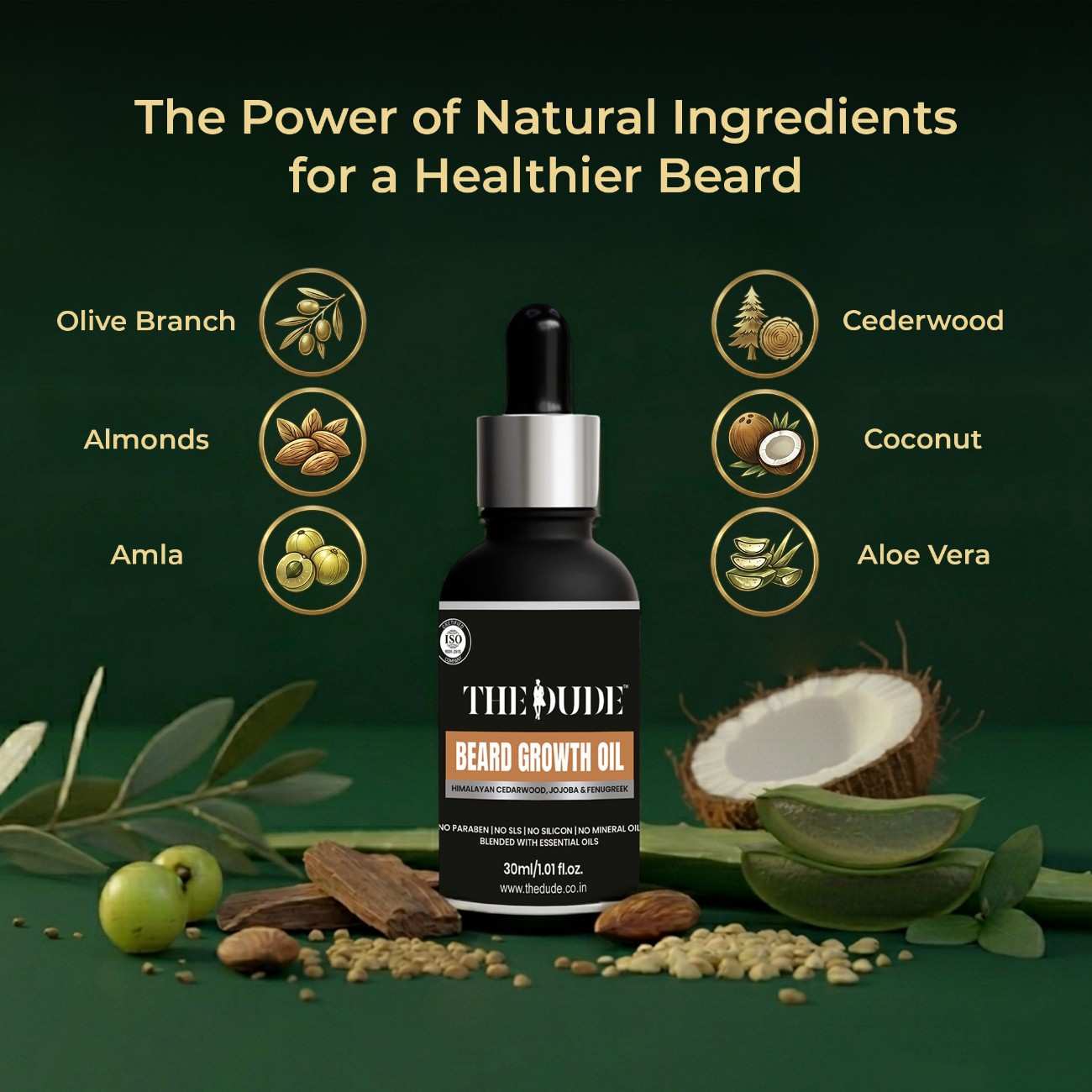 THE DUDE Beard Growth Grooming Combo for Men | Complete Beard Care Kit | Growth Cleanse & Style | For Thick Healthy Beard